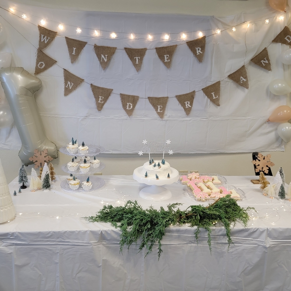 Winter onderland banner